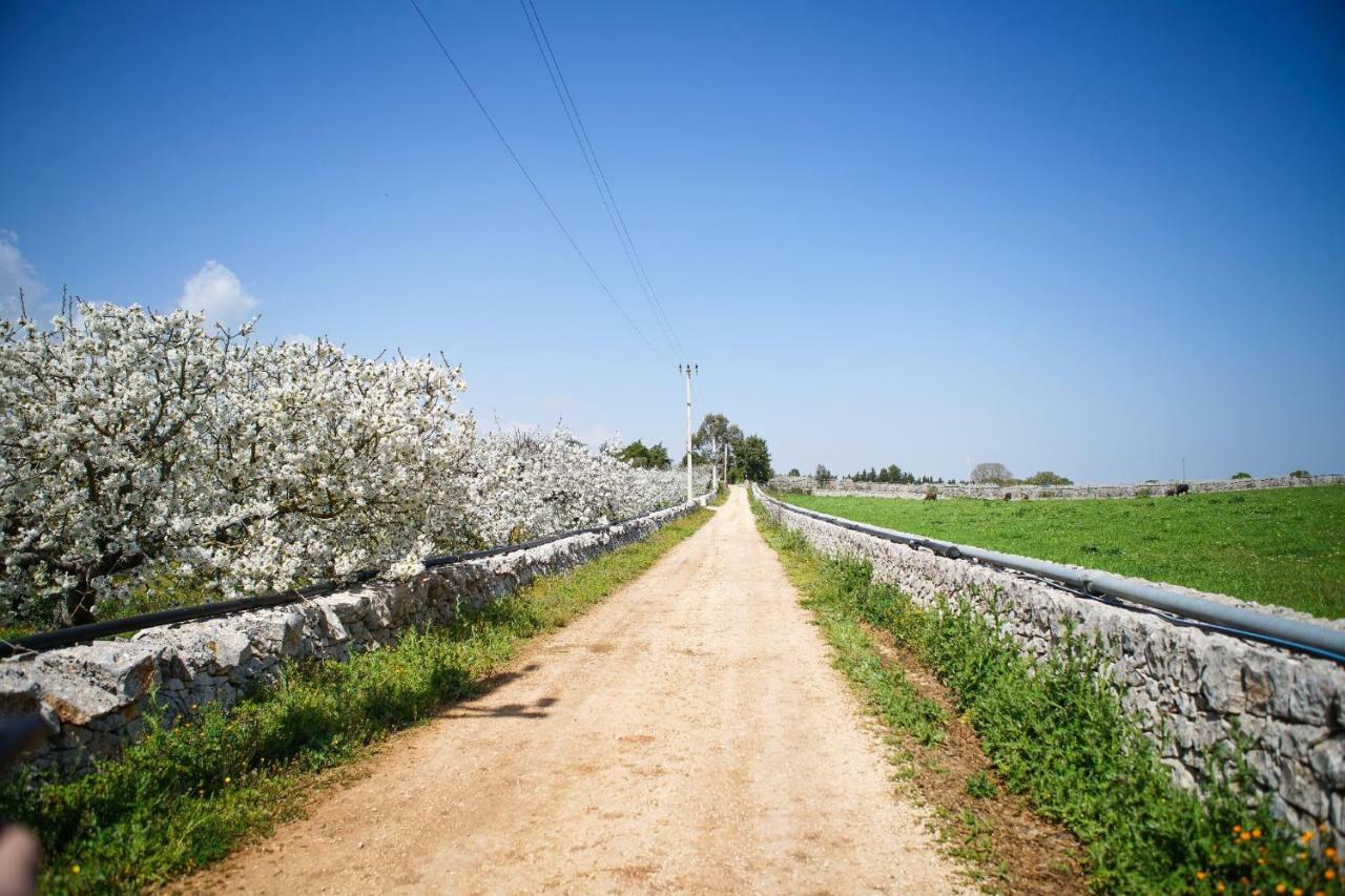 Masseria Guadiano Vecchio Санта Лучия Екстериор снимка